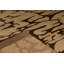 Area Rug in Brown/Dark Brown