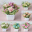 Centre de table Roses en pot-390503960