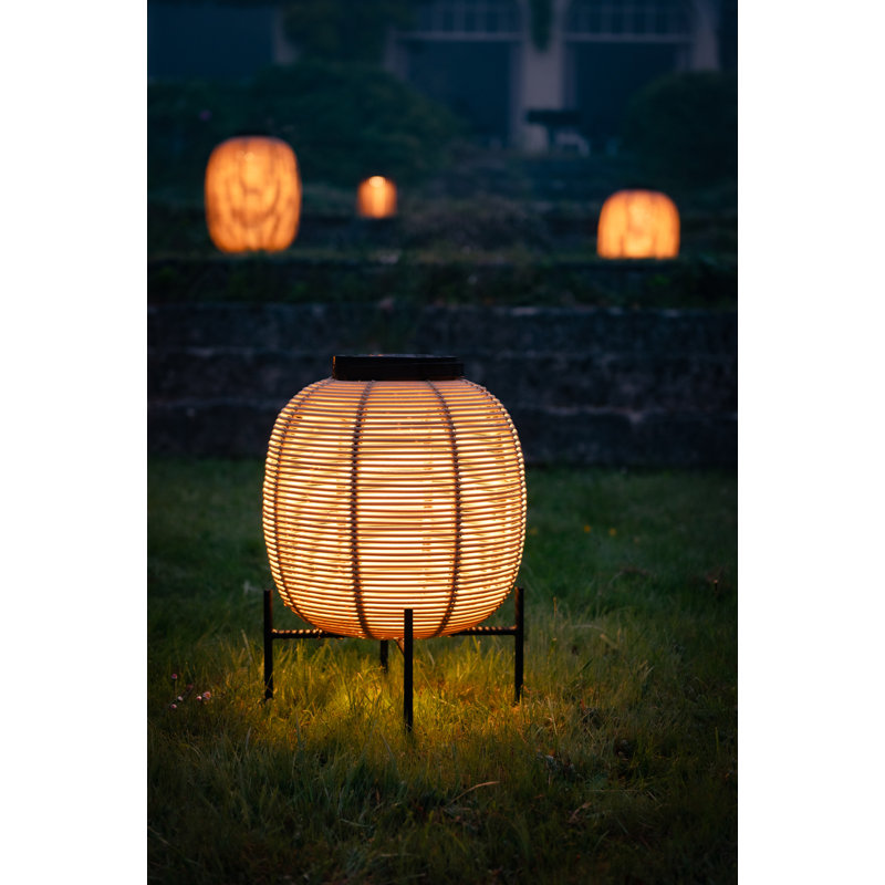 Tika LED Outdoor Wall Lantern, 23.23" H x 13.78" W x 13.78" D, Camel