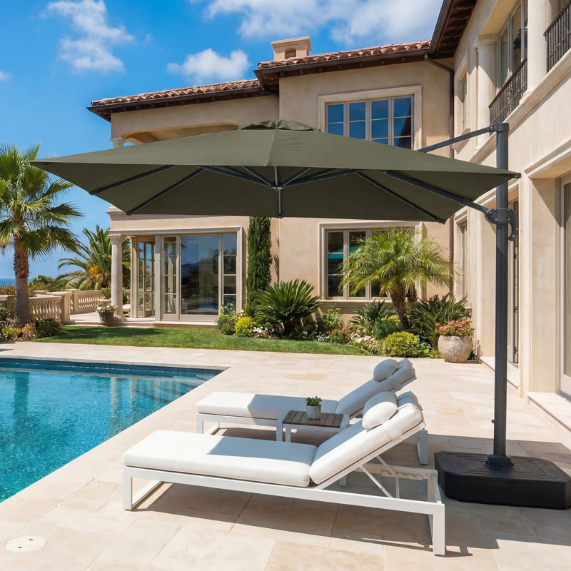 Replacement Canopy, Olive Grove