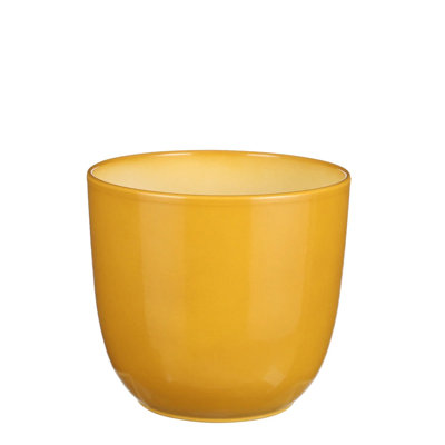 Cardonas Ceramic Pot Planter
