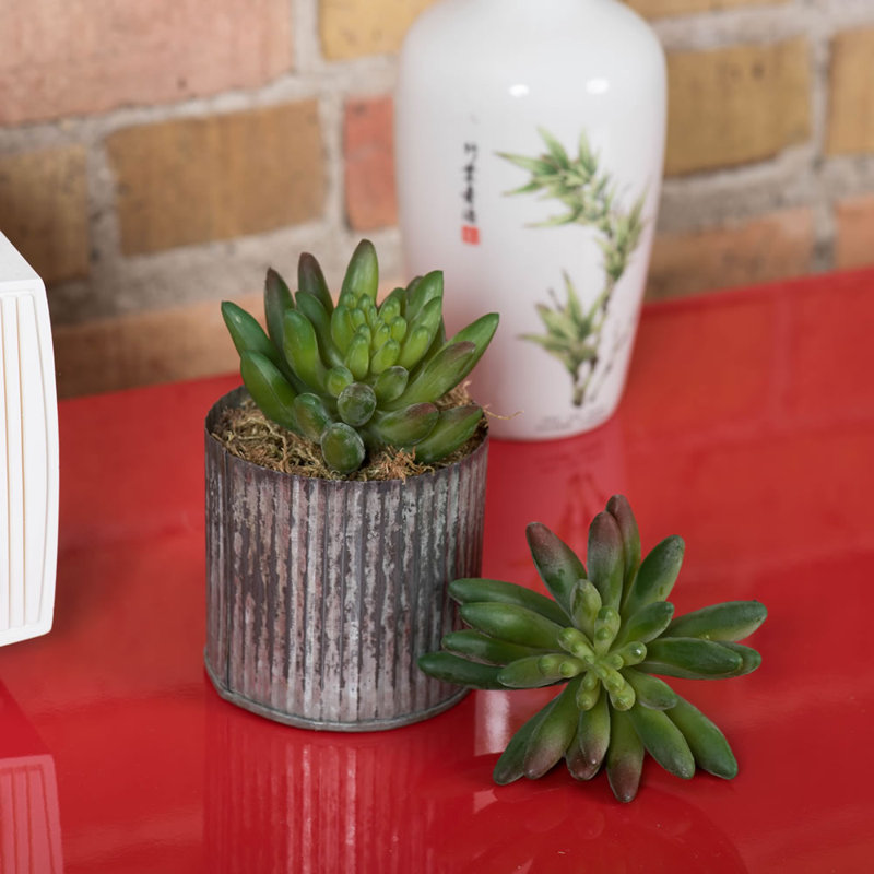 4'' Faux Succulent
