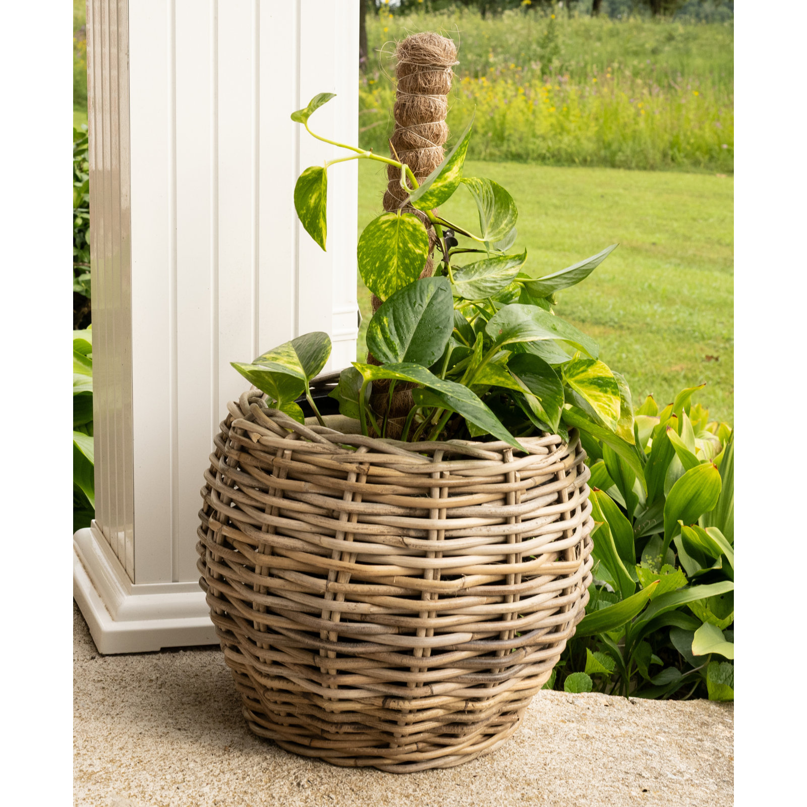 Round Belly Planter With Plastic Insert