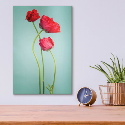 «Blue Poppy» par PhotoINC Studio