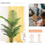 160cm Faux Fiddle Leaf Fig Tree in Cement Pot