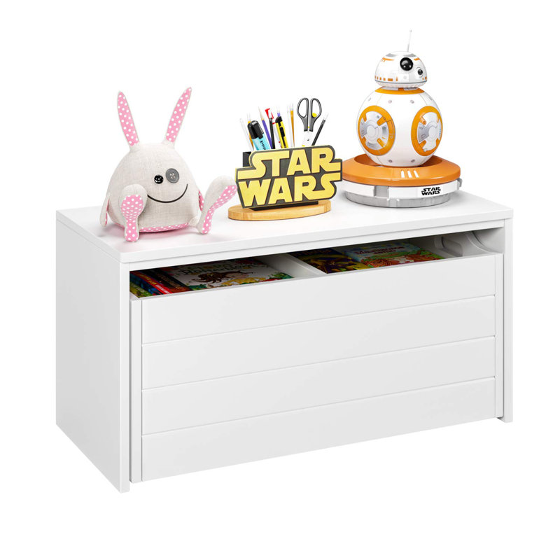 Sallie Kid's Toy Storage Bench