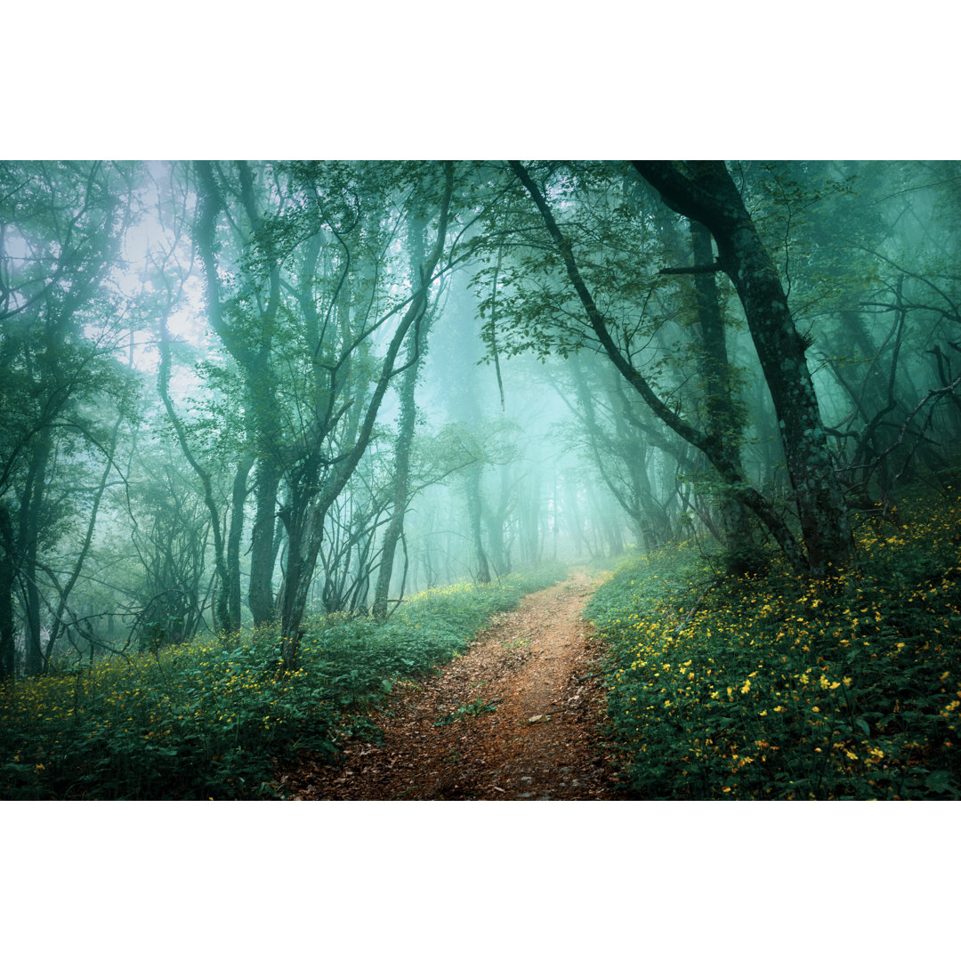 Leinwandbild Mysteriöser dunkler Wald im Nebel mit Straße und Blumen