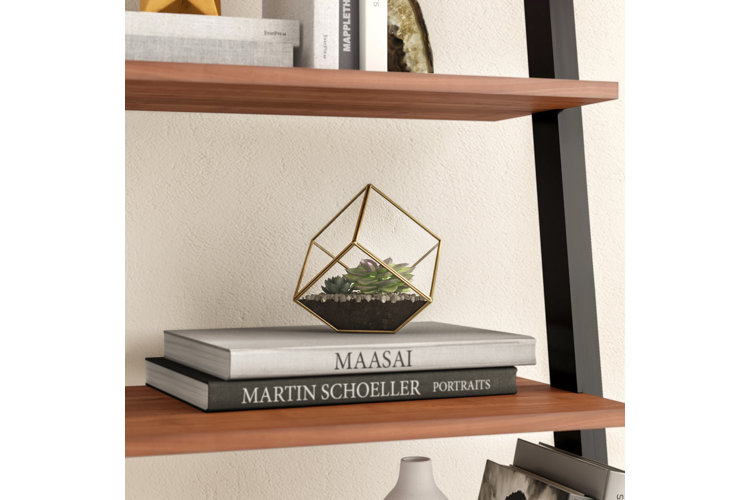 plant terrarium with succulents and glass planter