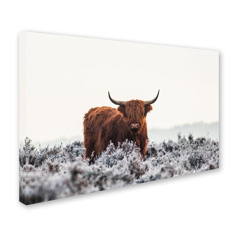Art mural sur toile tendue - Jaap Van Den «Highlander» pour décoration de salon, de chambre à coucher ou de bureau - 12 x 19