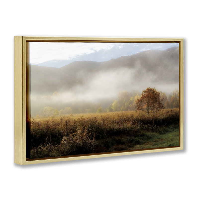Cadre flottant levant le brouillard au-dessus de la nature, design par D. Burt, H 21 po x l 31 po