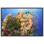 «Fijian Reef II Nature», impressions d'art par Notoriart-105314838-111565137