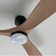 Soumeya 60'' Ceiling Fan With LED Lights, Remote Control and Quiet Reversible Dc Motor