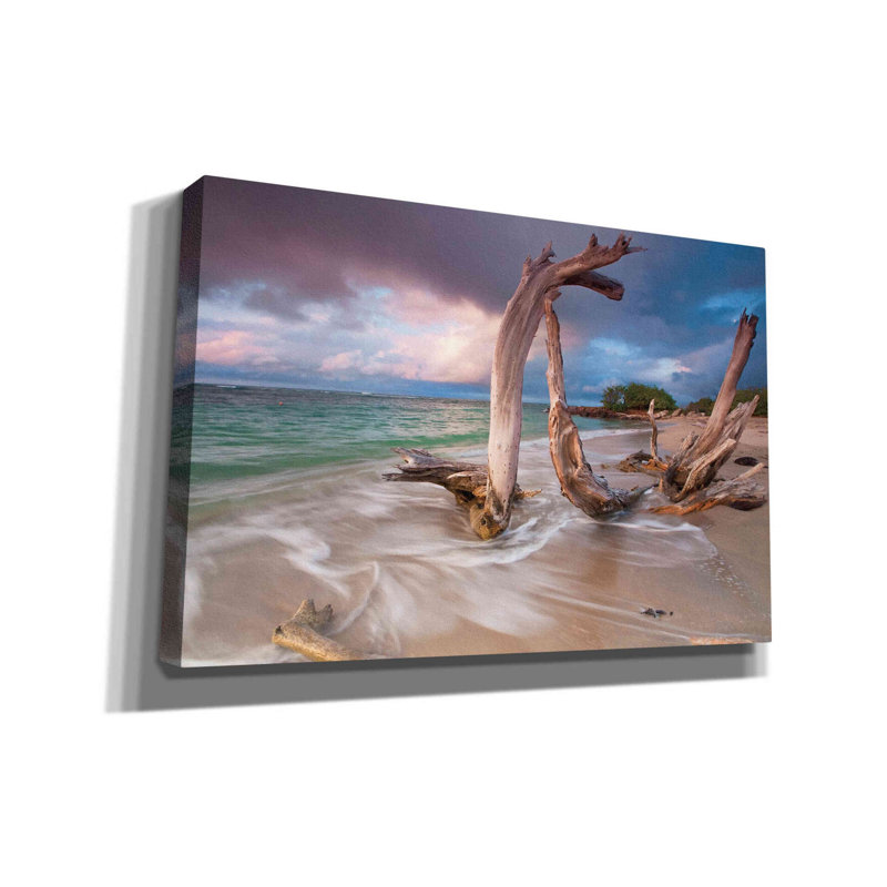 «Driftwood Sunset», impression sur toile tendue, H 40 po x l 60 po x P 1,5 po