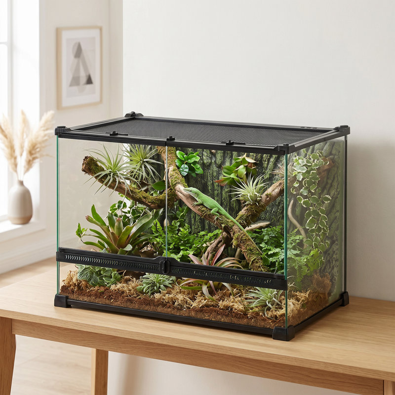 Reptile Box