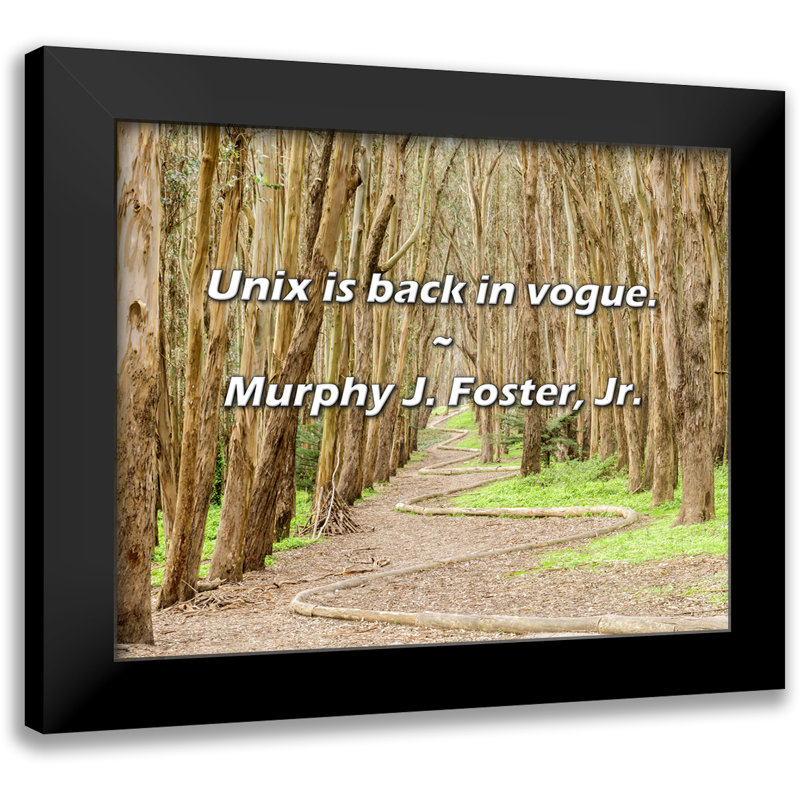 Murphy J. Foster, Jr. Citation: Unix est de retour en vogue.