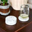 Devi Stone Round Coaster Set-1353006811