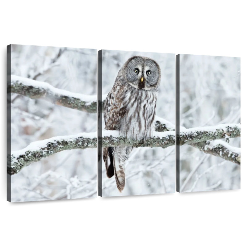 Great Grey Winter Owl, 42" H x 65" W