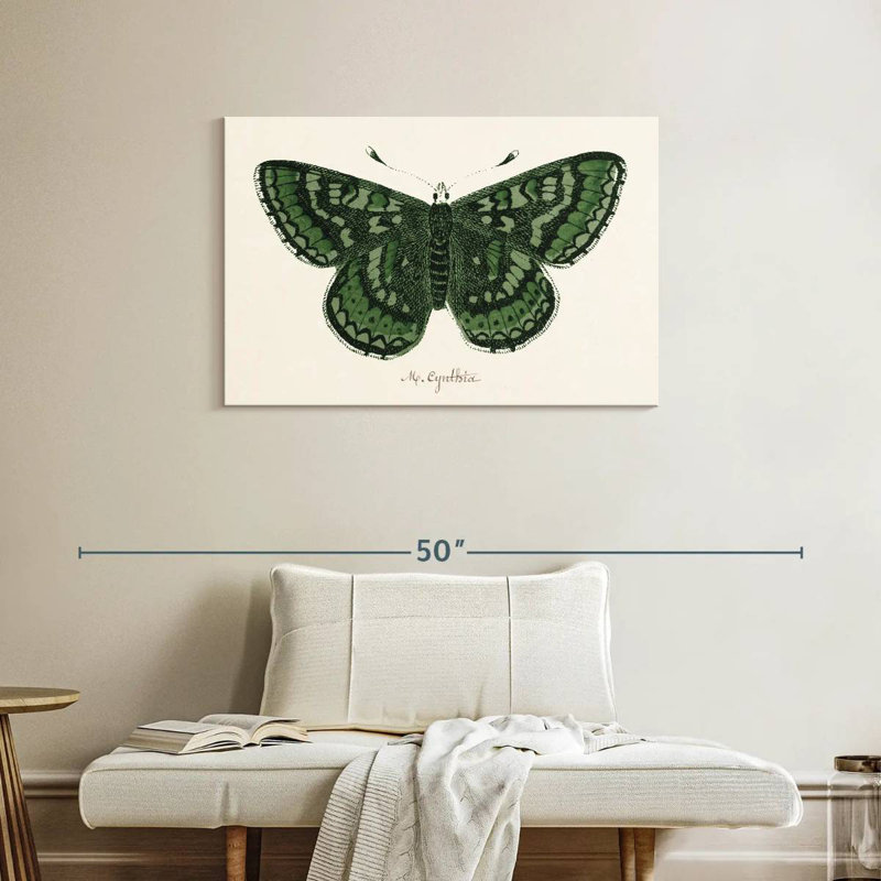 Brampt papillon antique I, H 24 po x l 36 po