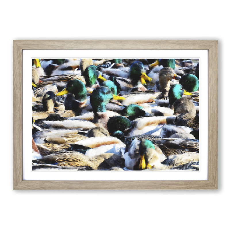 Mallard Ducks - Picture Frame Painting, 36cm H x 48cm W x 2cm D, Oak Framed