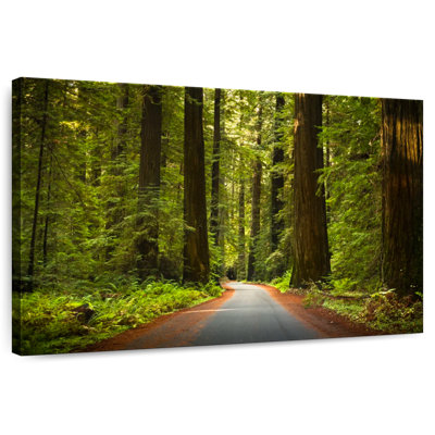 Harnek Redwood Forest Drive