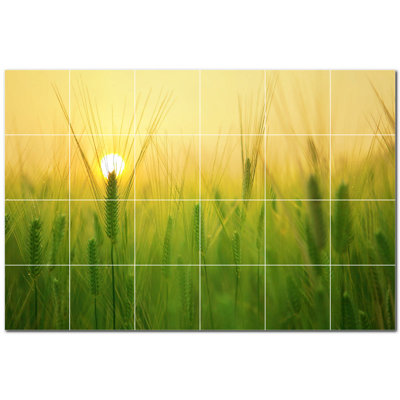 Photo de ferme 12 x 12