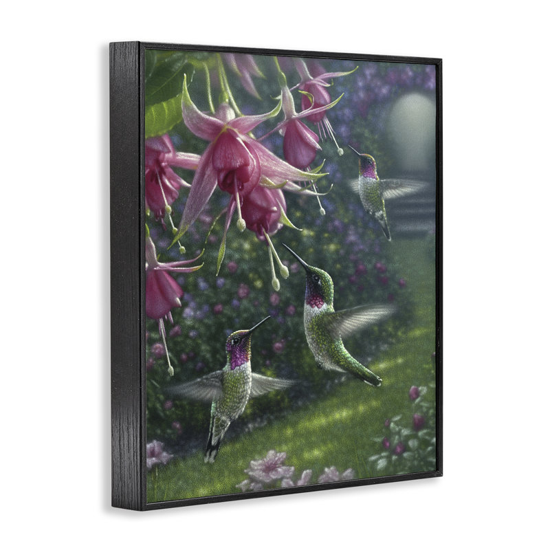 Giclée encadrée de Hummingbird Haven Garden, conception par Collin Bogle, H 14 po x l 11 po, Giclée encadrée noir minuit