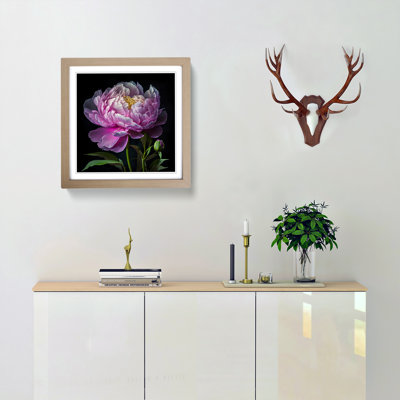 Peony Flower Floral Art - Framed Print