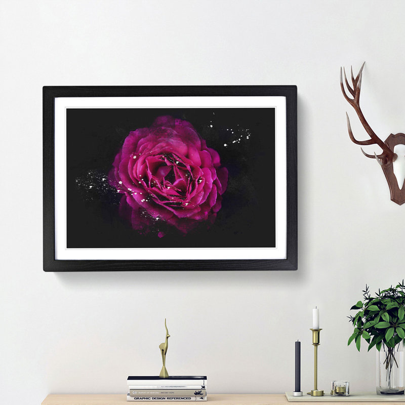 Fuscia Pink Carnation - Picture Frame Graphic Art Print, Black Framed, 33cm H x 45cm W x 2cm D