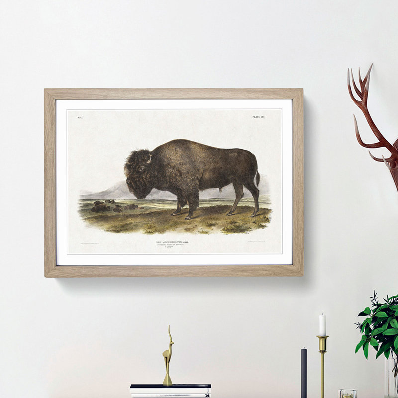 An American Bison by J.W. Audubon - Single Picture Frame Painting, 24cm H x 33cm W x 2cm D, Oak Framed