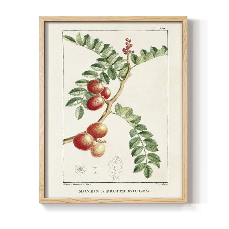 Reproduction encadrée Turpin Tropical Botanicals III - bois massif, H 11 po x l 9 po
