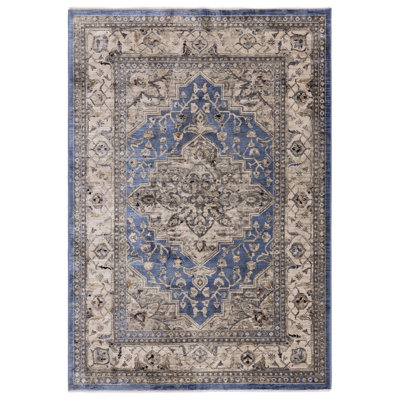 Bentancourt Persian Medallion Blue/Beige Area Rug