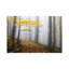 Martin Rak - Wrapped Canvas Print-1324809599