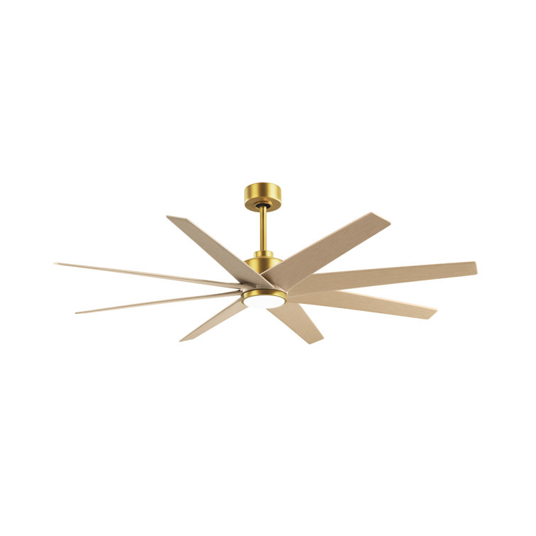 Ariella - Eight Blade Ceiling Fan - Integrated LED