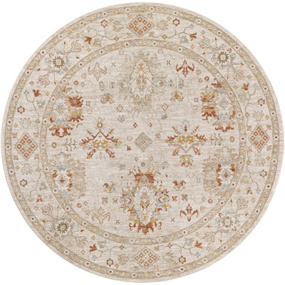 Finnlagh Oriental Indoor Rug