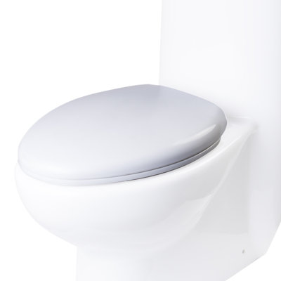 Toilet Seat
