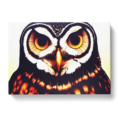 Explosive Owl - Wrapped Canvas
