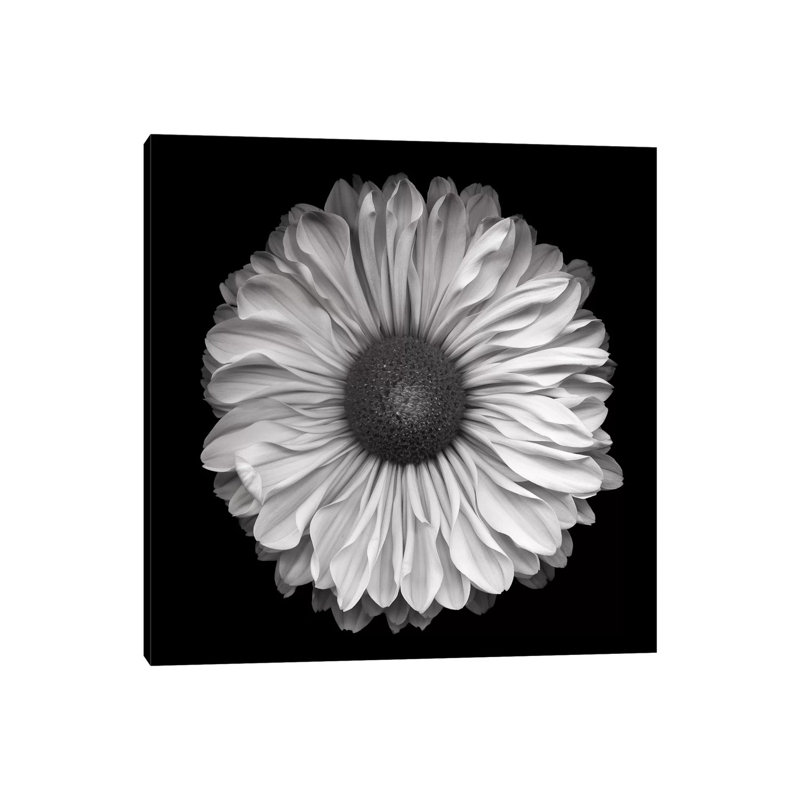 Mum Special III, B&W by Magda Indigo - Wrapped Canvas Print, 93.98 cm H x 93.98 cm W