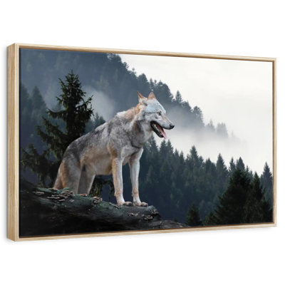 Timber Wolf On Mountain