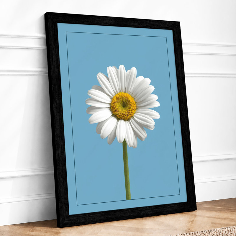 Single Daisy Study Botanical - Framed Print, A1 - 84.1 x 59.4 cm, Black