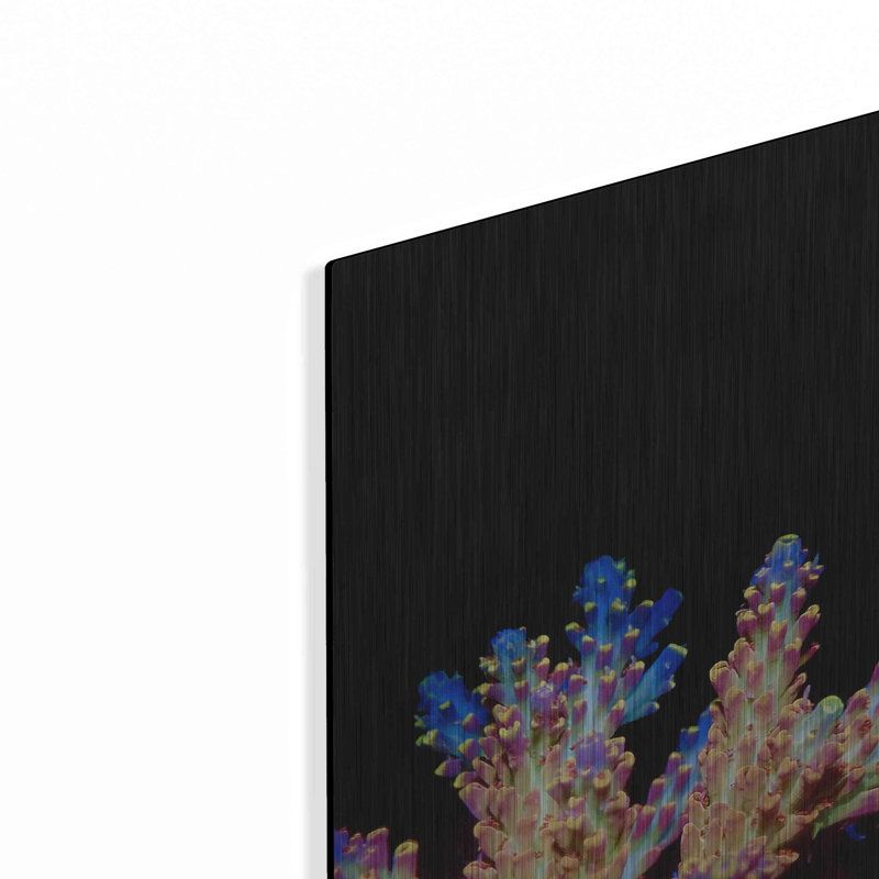 Coral Reef, art mural en métal, H 12 po x l 12 po