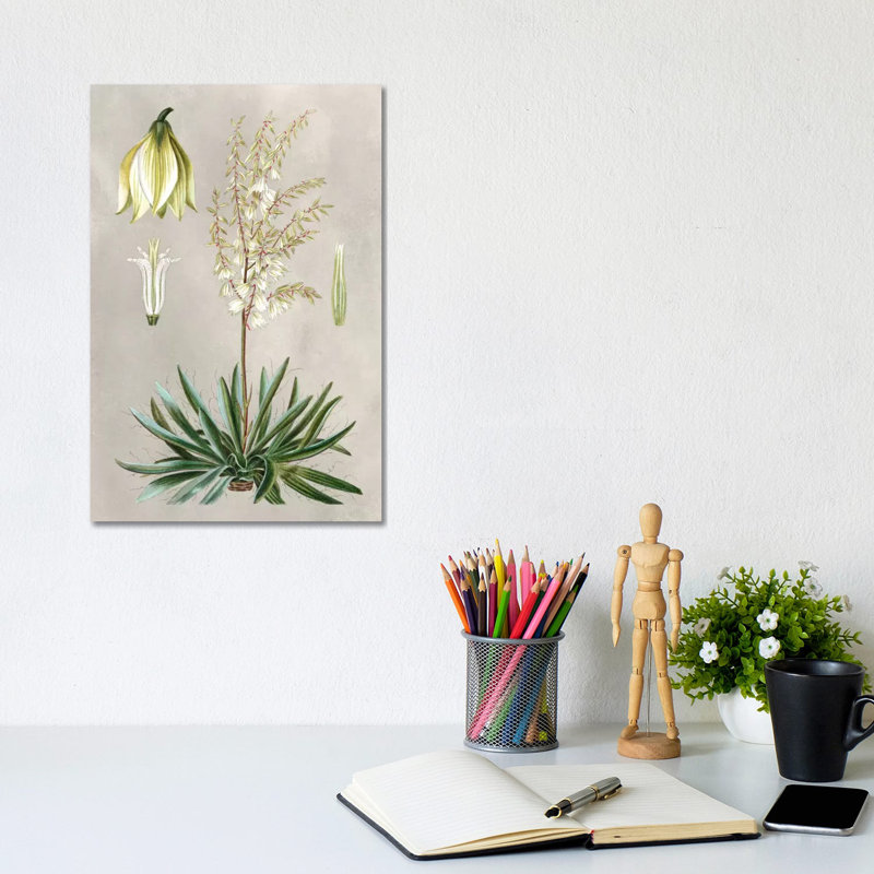 Tropical Varieties I 1 Piece Wrapped Canvas Wall Art, 20.32 cm H x 30.48 cm W