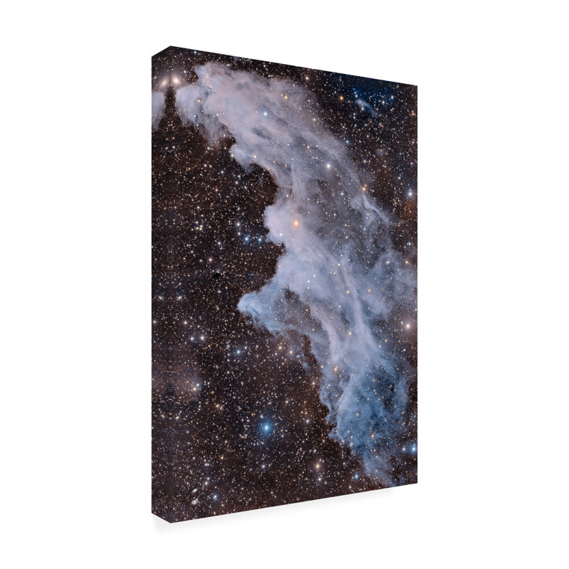 Art sur toile Vikas Chander The Witch Head Nebula, H 19 po x l 12 po x P 2 po