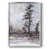 Silver Framed Canvas