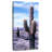 Exotic Cactus-757391900