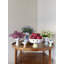 Eva Ceramic Table Vase