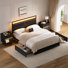 Grise 3 Piece Bedroom Sets,Upholstered Bed With 2 Drawers & 2 Slanted Nightstand
