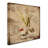 'Natural History' Graphic Art Print on Wrapped Canvas-23106758