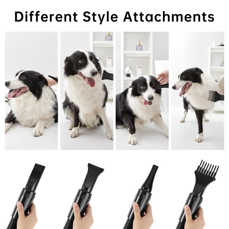 Dog Dryer With 5 Nozzle 5.2HP/3800W, Noir