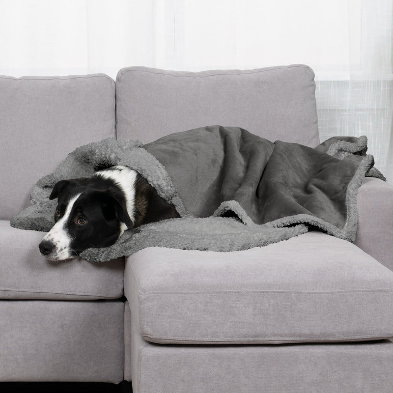 Snuggly & Warm Soft-Edge Warming Waterproof Blanket, Gray, 60" x 50"