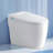 One-Piece Smart Toilet with Bidet, Auto Flush, Heated Seat, and Remote Control